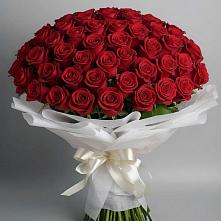 Букет 101 Красная роза Блэк Мэджик в Истре