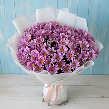 Букет цветов из:  Хризантемы в Истре