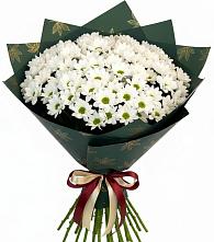 Букет цветов из:  Хризантемы в Истре