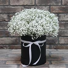 Цветочная композиция из Гипсофила в шляпной коробке в Истре