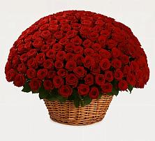 Премиум букет из: Розы в Истре